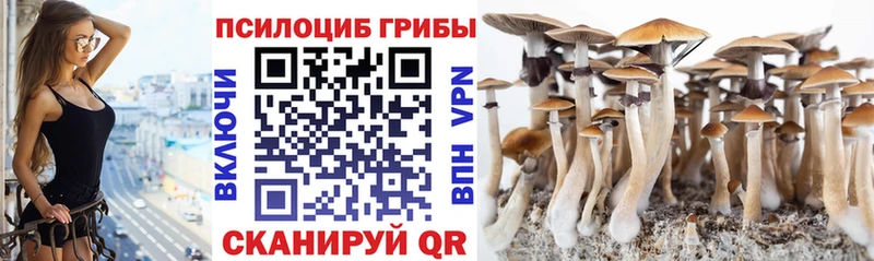 Галлюциногенные грибы мицелий  Купить закладки  Семикаракорск 